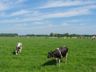 Hollanda 'daki Lichtenvoorde köyü.