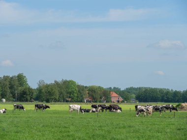Hollanda 'daki Lichtenvoorde köyü.