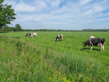 Hollanda 'daki Lichtenvoorde köyü.