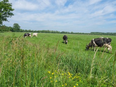 Hollanda 'daki Lichtenvoorde köyü.