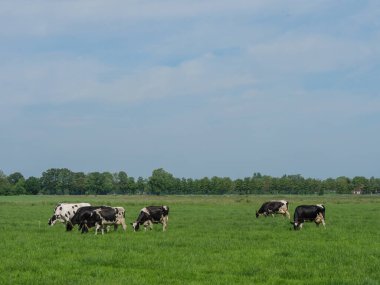 Hollanda 'daki Lichtenvoorde köyü.