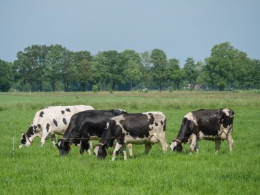 Hollanda 'daki Lichtenvoorde köyü.