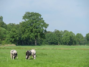 Hollanda 'daki Lichtenvoorde köyü.