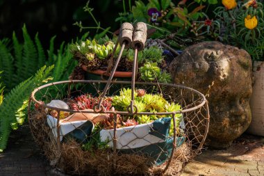 Bir Alman bahçesinde yaz mevsimi