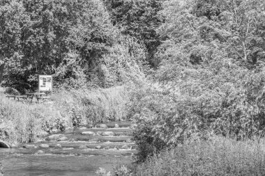 Yaz zamanı Westphalia 'da göl