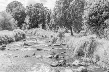 Yaz zamanı Westphalia 'da göl