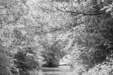 Yaz zamanı Westphalia 'da göl