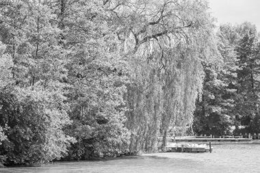 Yaz zamanı Westphalia 'da göl