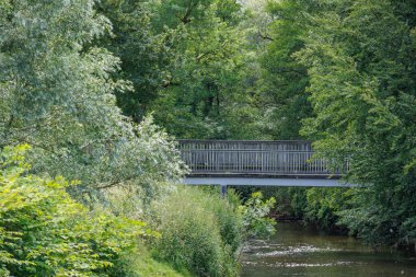 Yaz zamanı Westphalia 'da göl