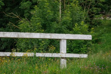 Almanya 'da Kuzey Denizi' nde Hooksiel