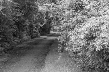 Almanya 'da Kuzey Denizi' nde Hooksiel