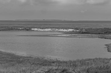 Kuzey deniz kıyısındaki Alman Wangerland.