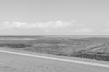Kuzey deniz kıyısındaki Alman Wangerland.