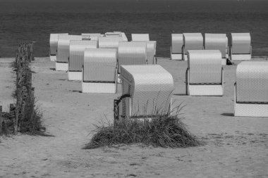 Kuzey deniz kıyısındaki Alman Wangerland.