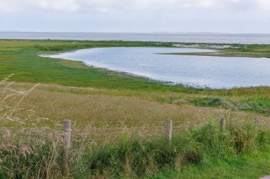 Alman Kuzey Sahili 'ndeki Wangerland.