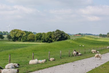Alman Kuzey Sahili 'ndeki Wangerland.