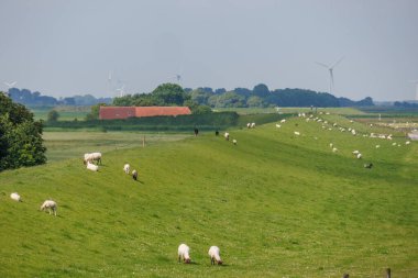 the wangerland at the german north sea coast clipart