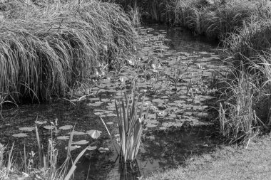 Yazın bir Alman parkı.