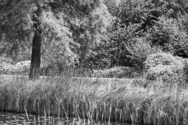 Yazın bir Alman parkı.