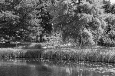 Yazın bir Alman parkı.