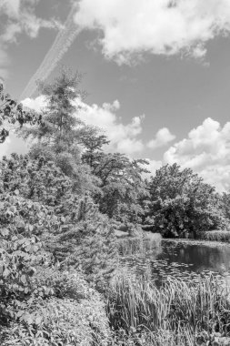 Yazın bir Alman parkı.