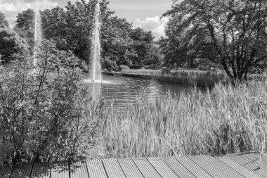 Yazın bir Alman parkı.