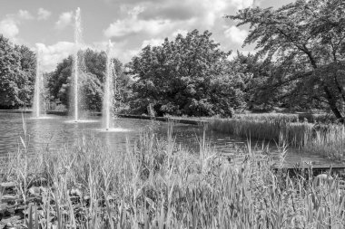 Yazın bir Alman parkı.