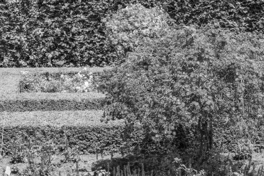 Yazın bir Alman parkı.