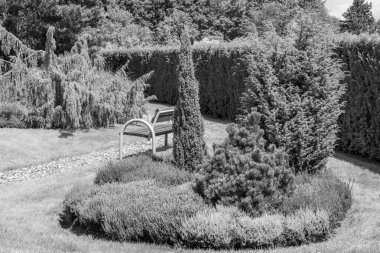 Yazın bir Alman parkı.