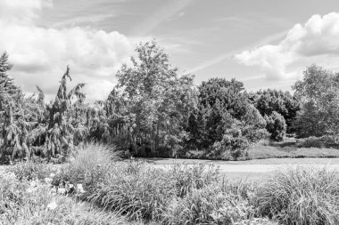 Yazın bir Alman parkı.