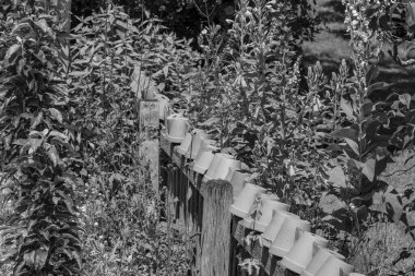 Bir Alman bahçesinde yaz mevsimi.