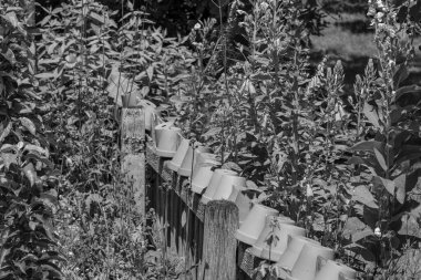 Bir Alman bahçesinde yaz mevsimi.