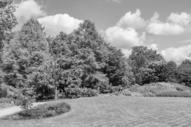 Bir Alman bahçesinde yaz mevsimi.