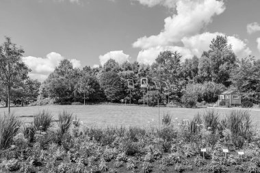 Bir Alman bahçesinde yaz mevsimi.