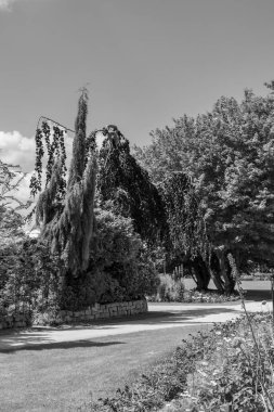 Bir Alman bahçesinde yaz mevsimi.