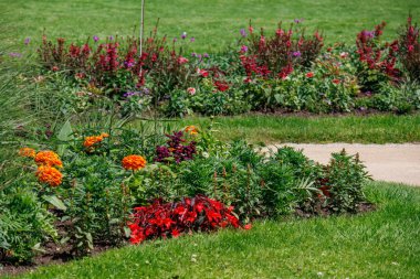 Alman Parkı 'nda yaz mevsimi