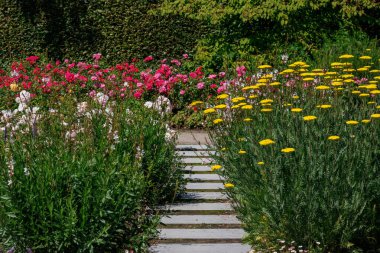 Alman Parkı 'nda yaz mevsimi