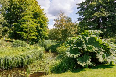 Alman Parkı 'nda yaz mevsimi