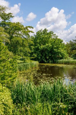Alman Parkı 'nda yaz mevsimi