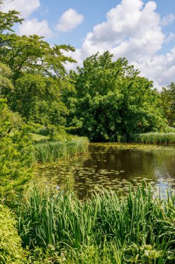 Alman Parkı 'nda yaz mevsimi