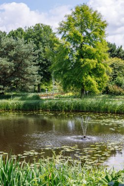 Alman Parkı 'nda yaz mevsimi