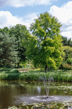 Alman Parkı 'nda yaz mevsimi