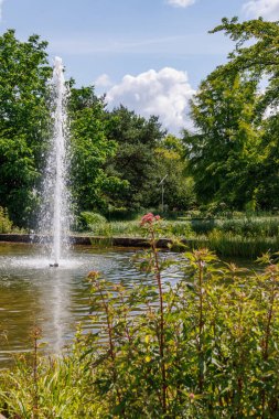 Alman Parkı 'nda yaz mevsimi