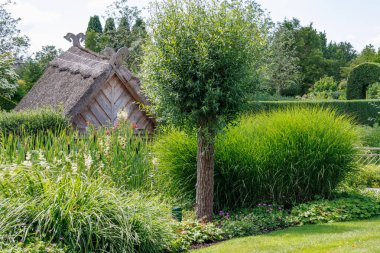 Alman Parkı 'nda yaz mevsimi