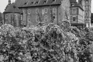 Alman Muensterland 'indeki Raesfeld şehri.