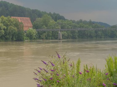 Avustralya 'daki Tuna Nehri' nde.
