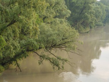Avustralya 'daki Tuna Nehri.