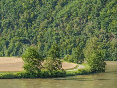 Avustralya 'daki Tuna Nehri.