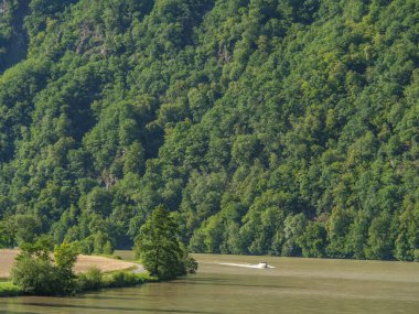 Avustralya 'daki Tuna Nehri.