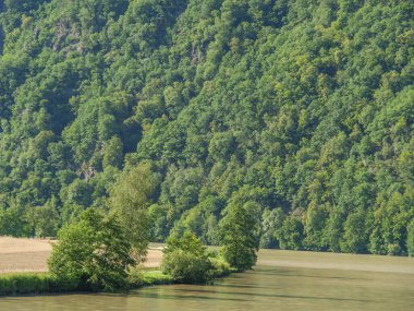 Avustralya 'daki Tuna Nehri.